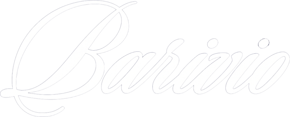 Barivio Logo