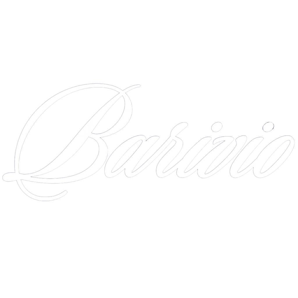 Barivio Logo